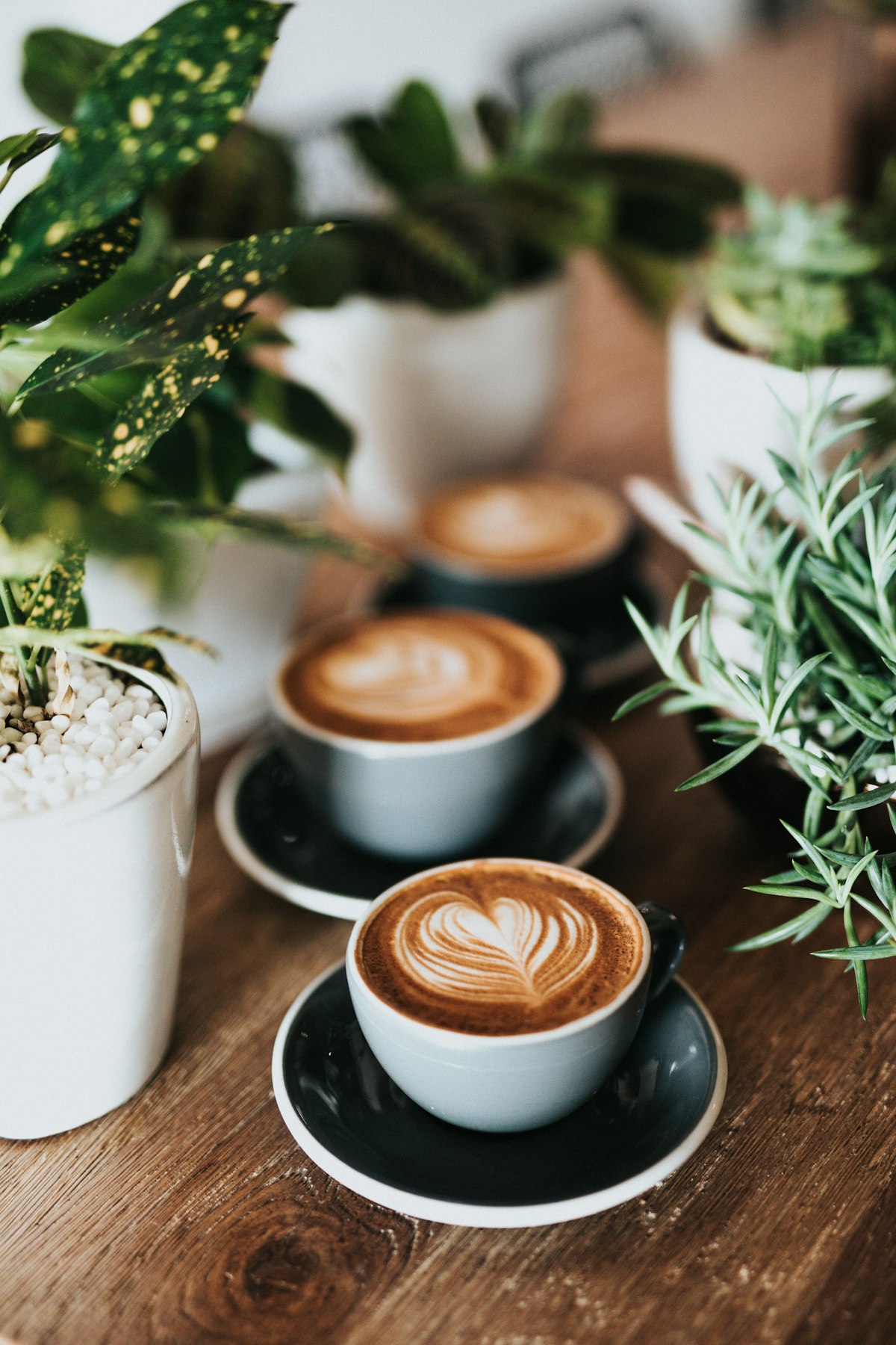 Fresh Hot Coffee
